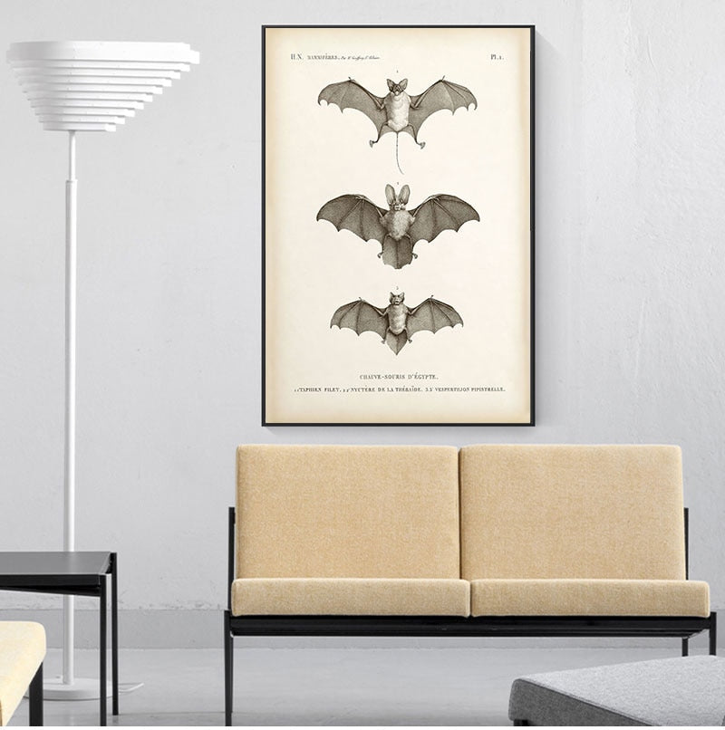 Vintage Bat Print Halloween Wall Art Canvas